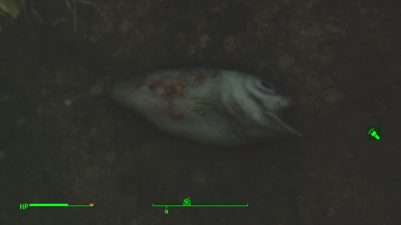 Illustration for article titled The Mystery of What Fallout 4 Hides Underwater